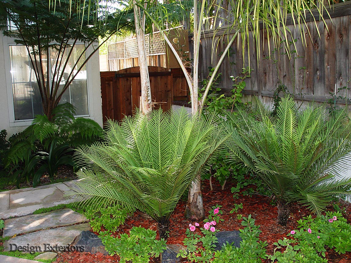Pacific Designscapes Projects — 6
